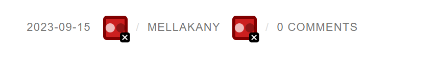 A red box symbol beside "mellakany" and "0 comments". 